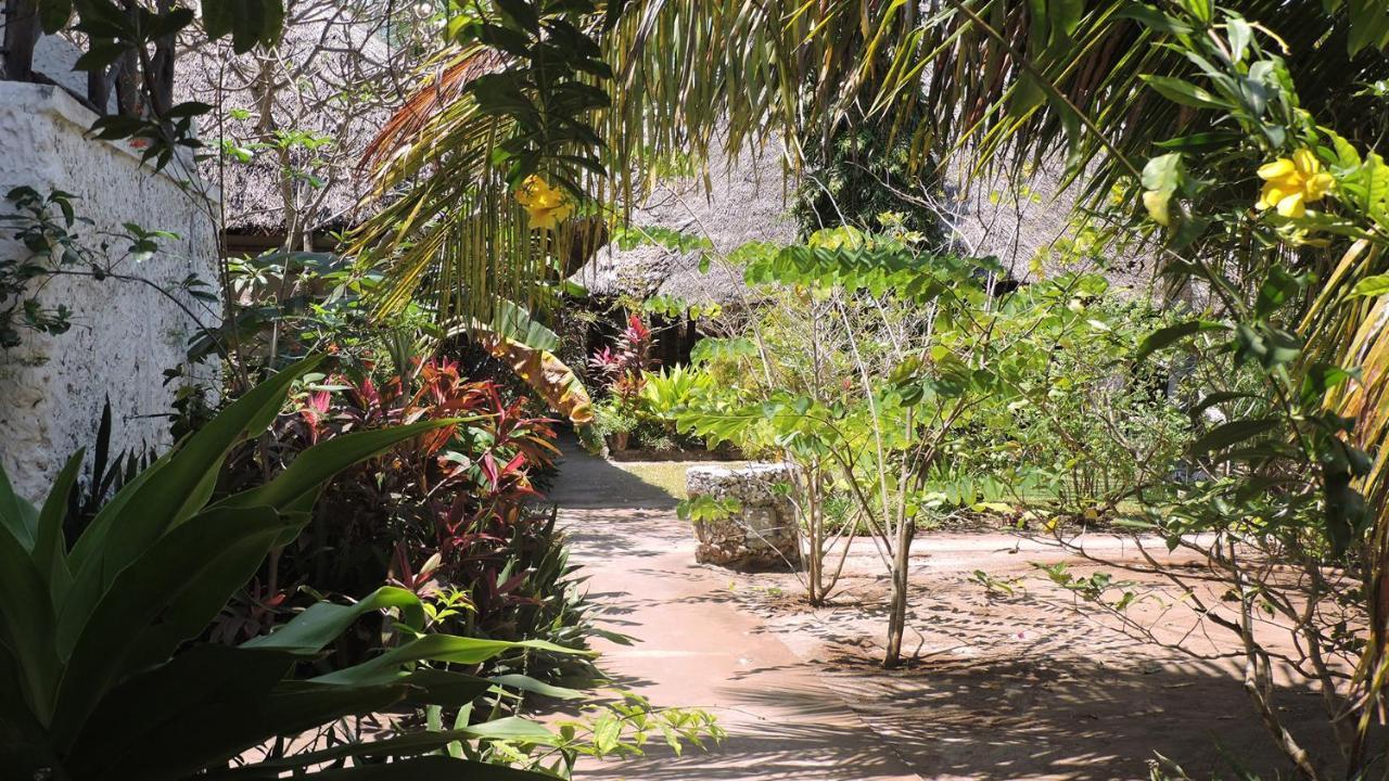Paje By Night Bungalows المظهر الخارجي الصورة